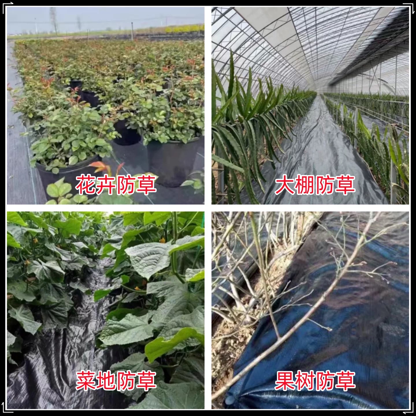 保定市防草布防草布 - 厂家