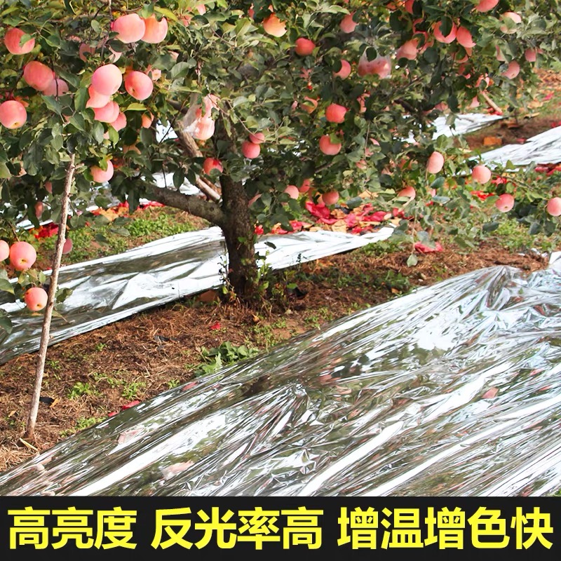 保定市防草布果树反光膜 - 价格